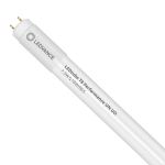 Ledvance Tube LED T8 Performance (HF) High Output 7.5W 1100lm - 865 Lumière du Jour | 60cm - Équivalent 18W